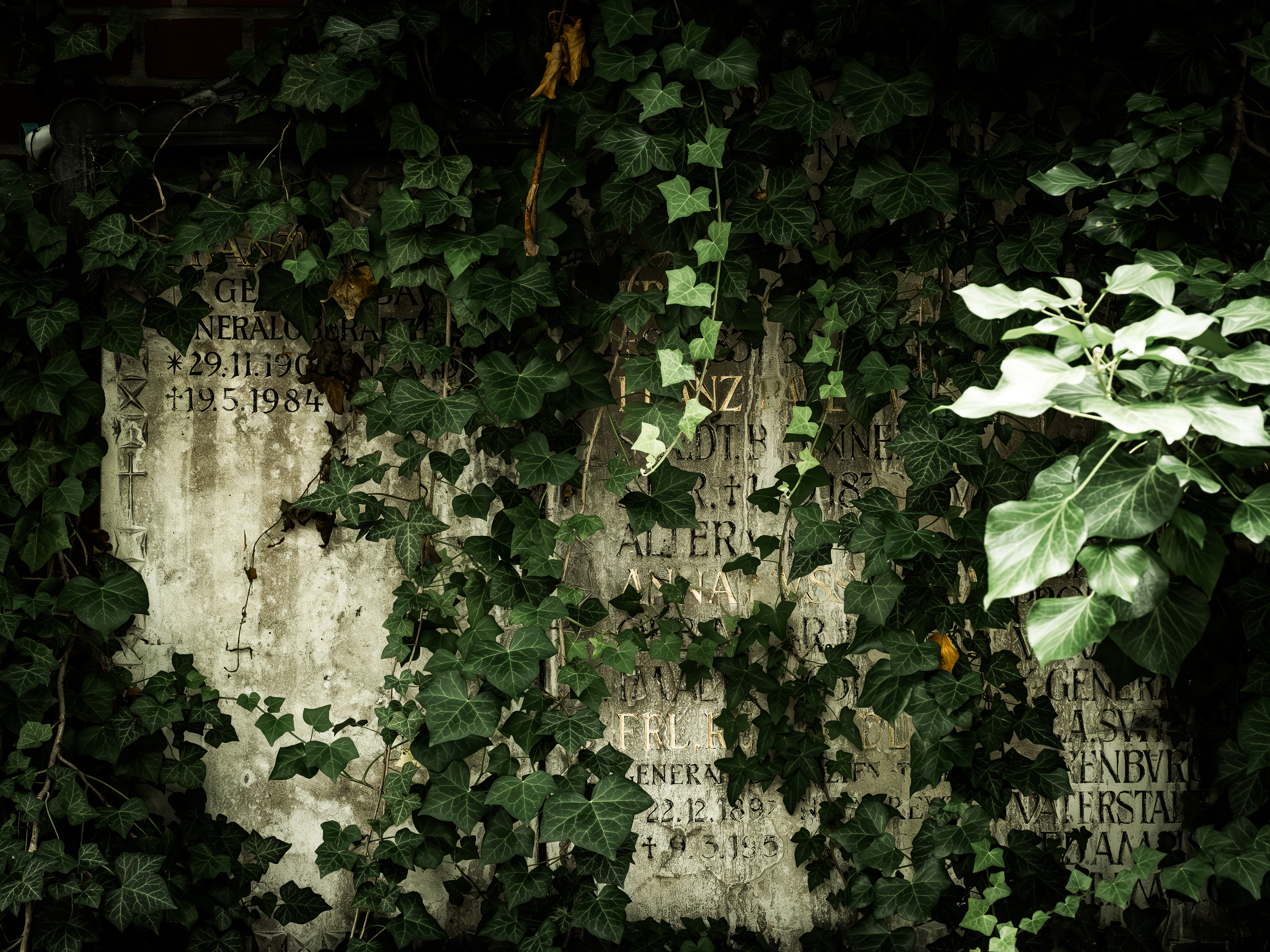 Haidhauser Friedhof (Friedhofsfotografie München)