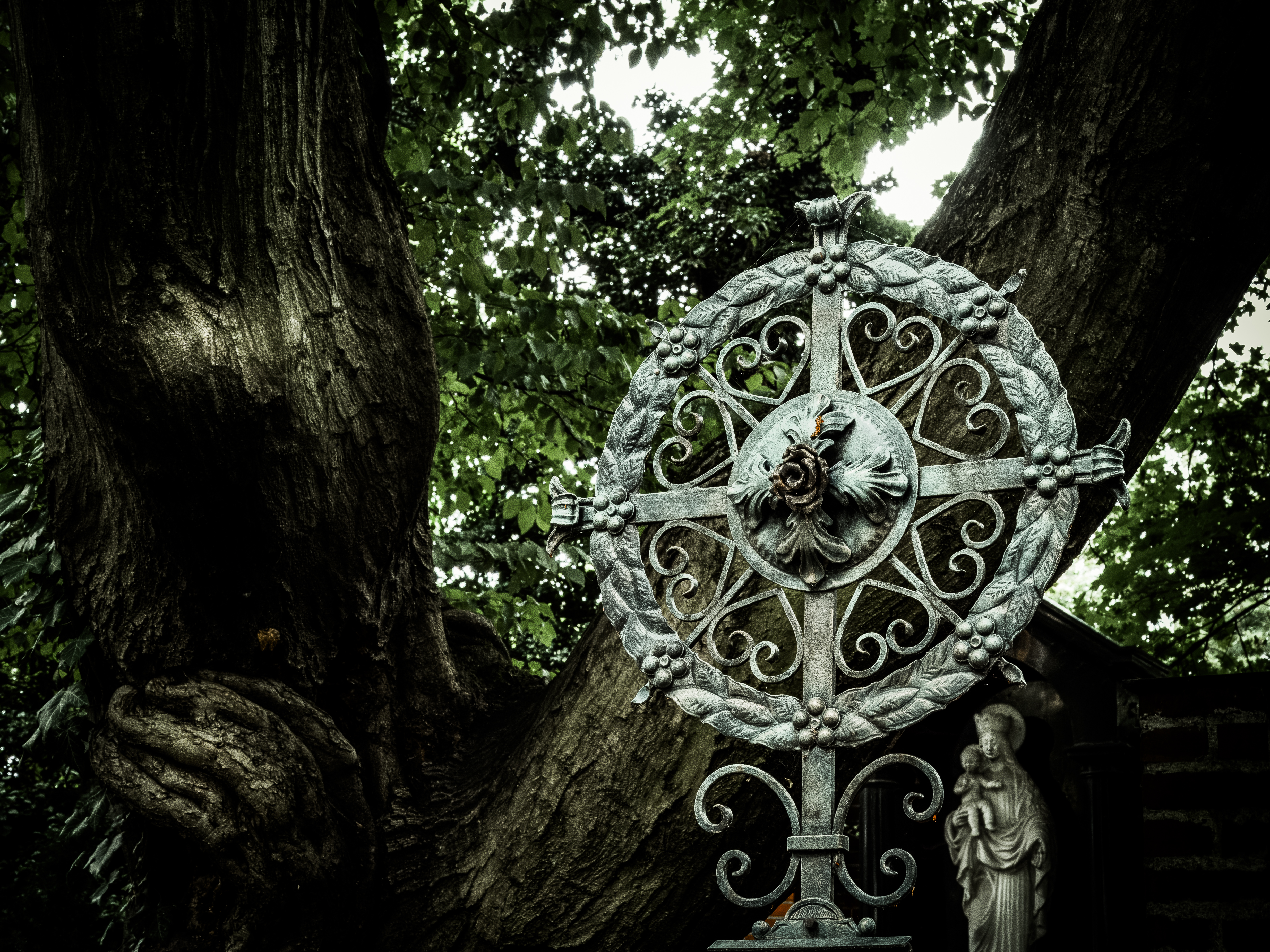 Haidhauser Friedhof (Friedhofsfotografie München)