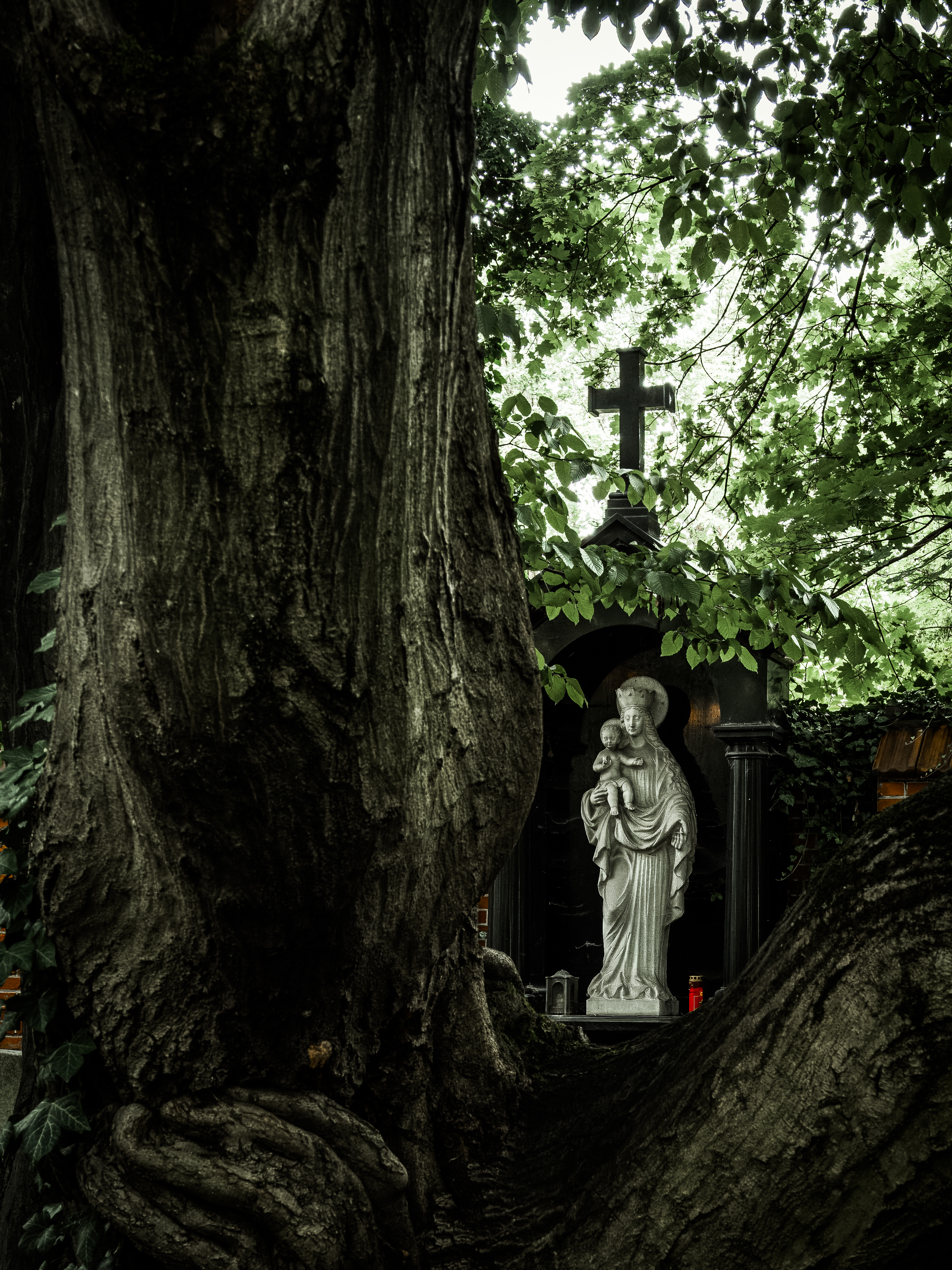 Haidhauser Friedhof (Friedhofsfotografie München)