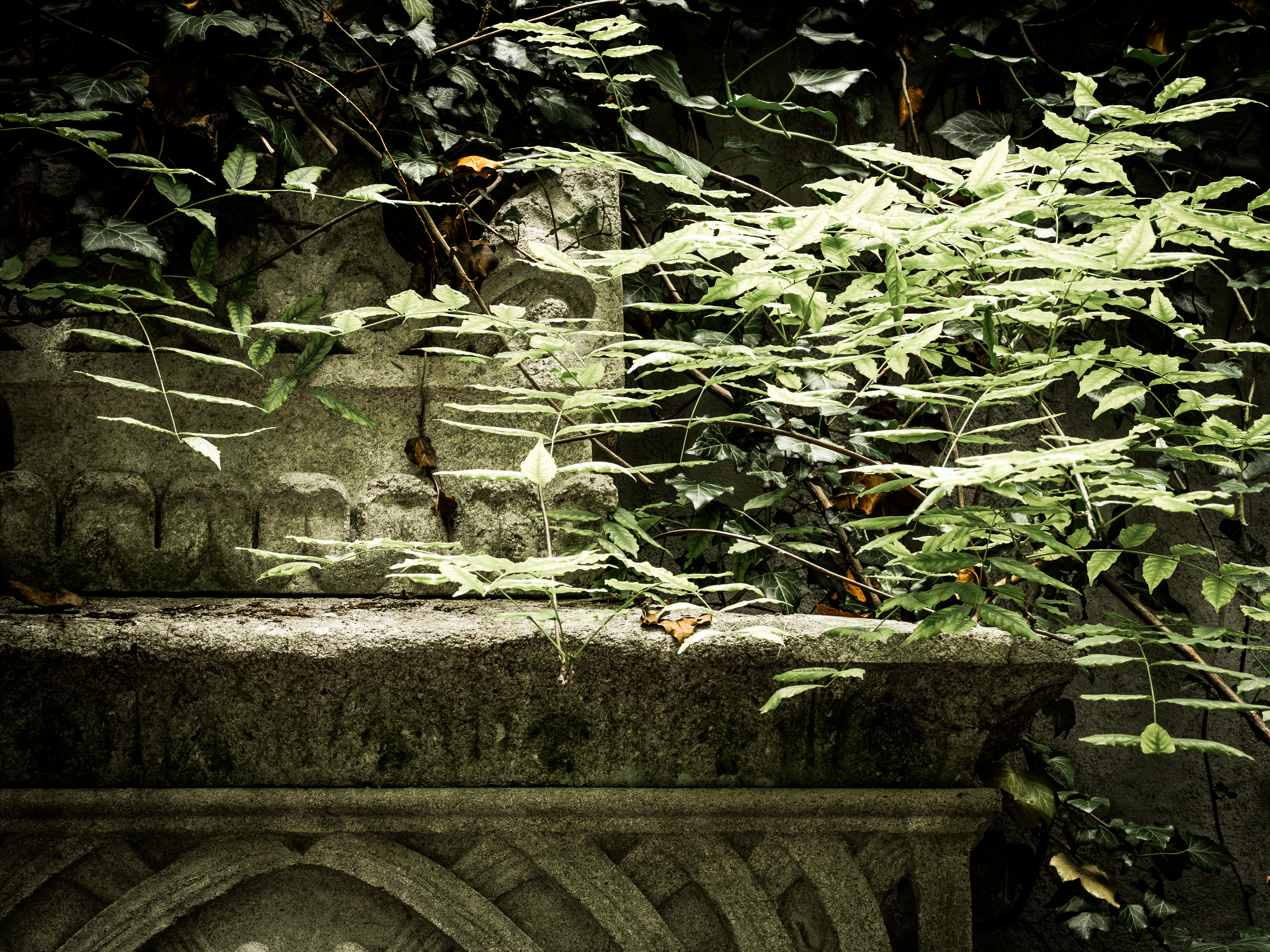 Haidhauser Friedhof (Friedhofsfotografie München)