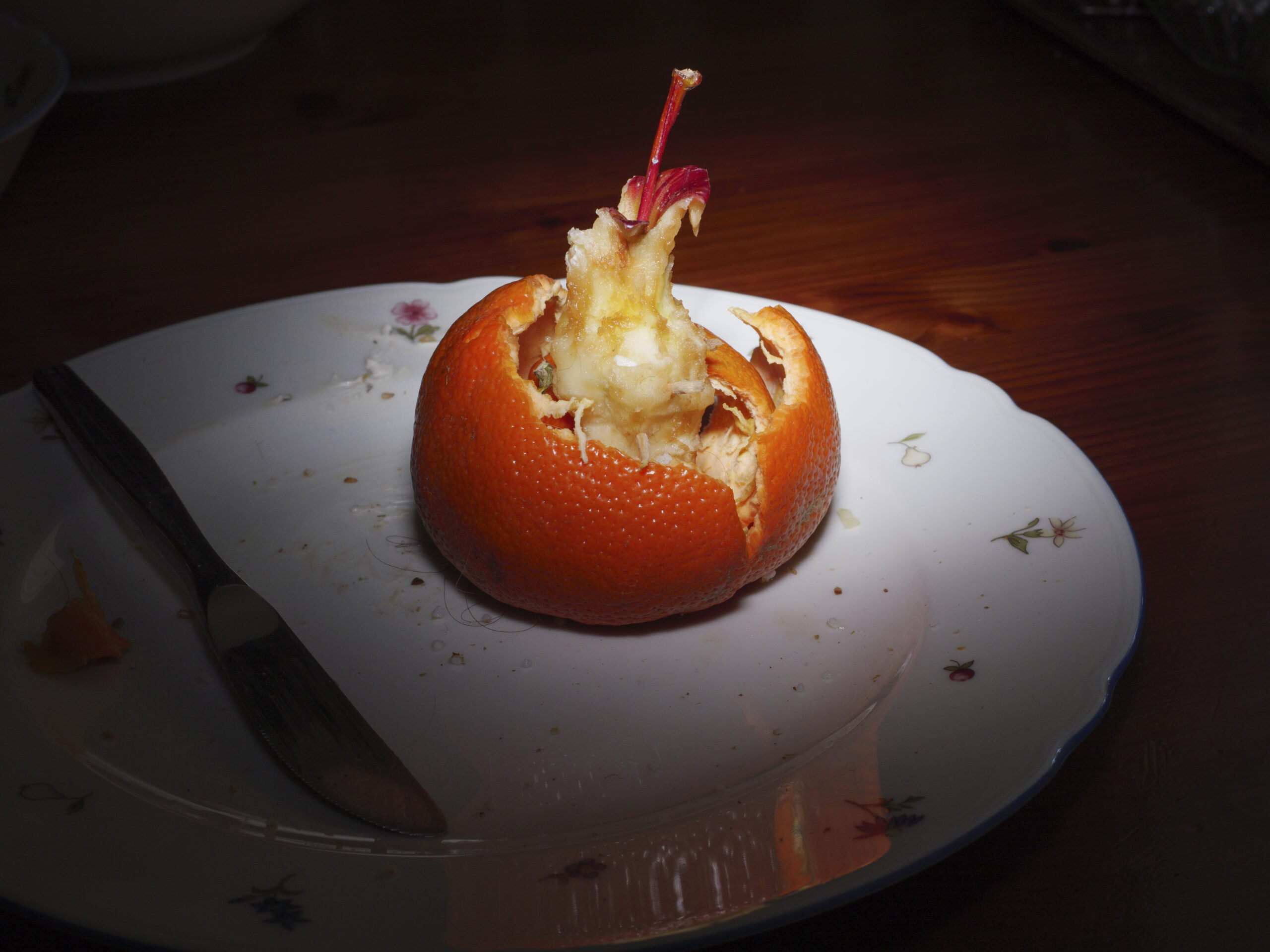 365 Tage Projekt “Alltag”