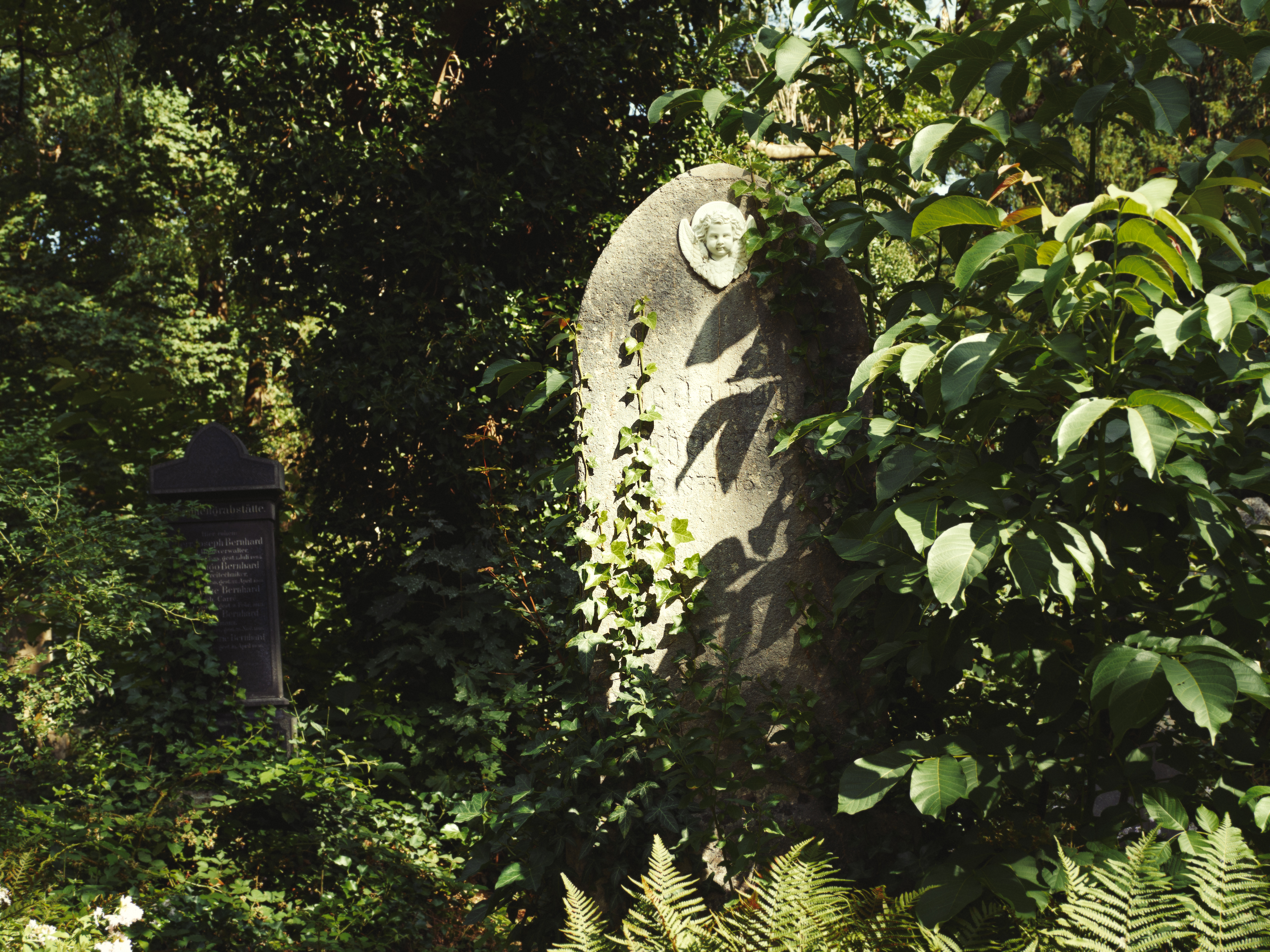 Thalkirchner Friedhof (Friedhofsfotografie München)