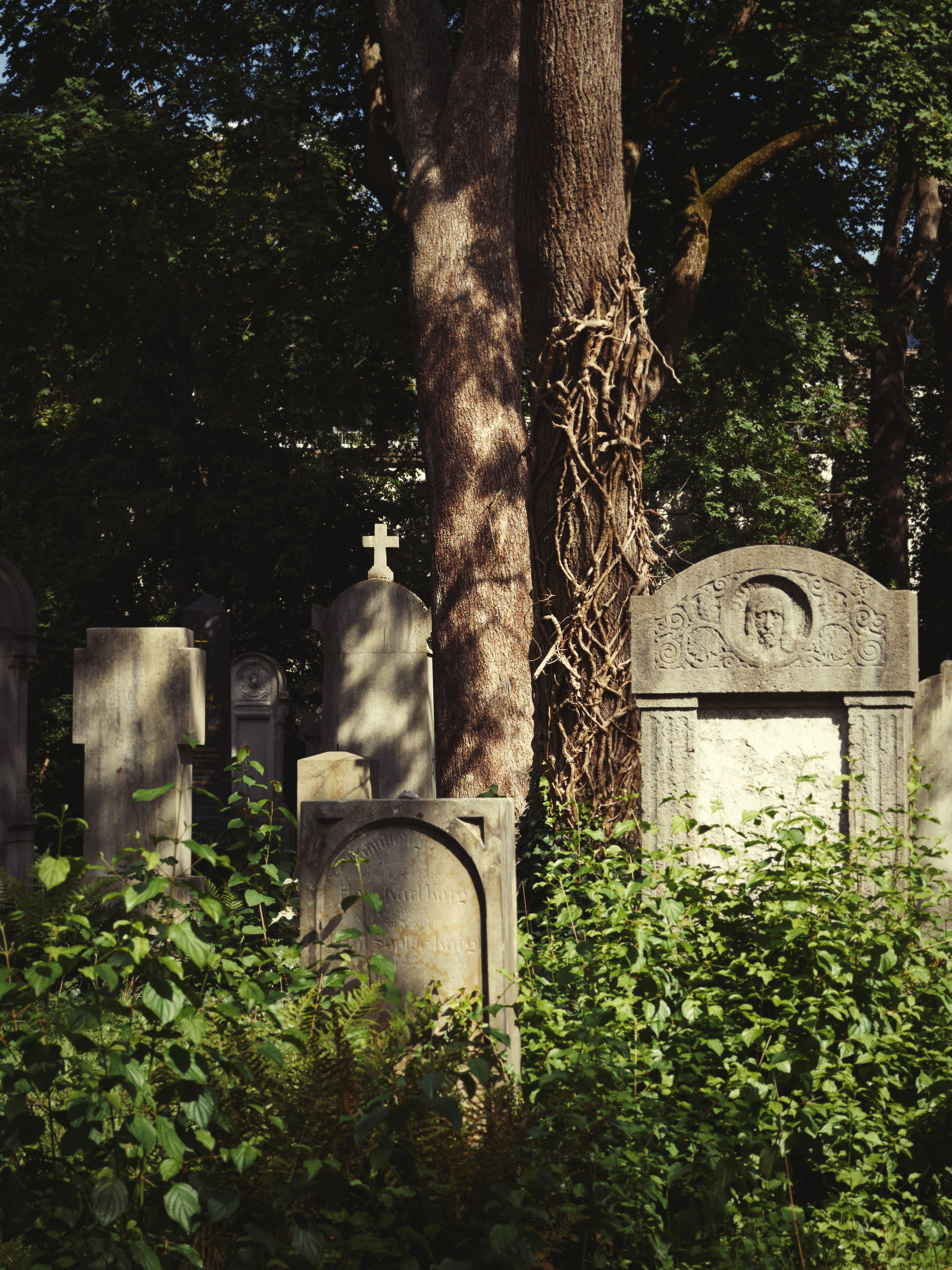 Thalkirchner Friedhof (Friedhofsfotografie München)