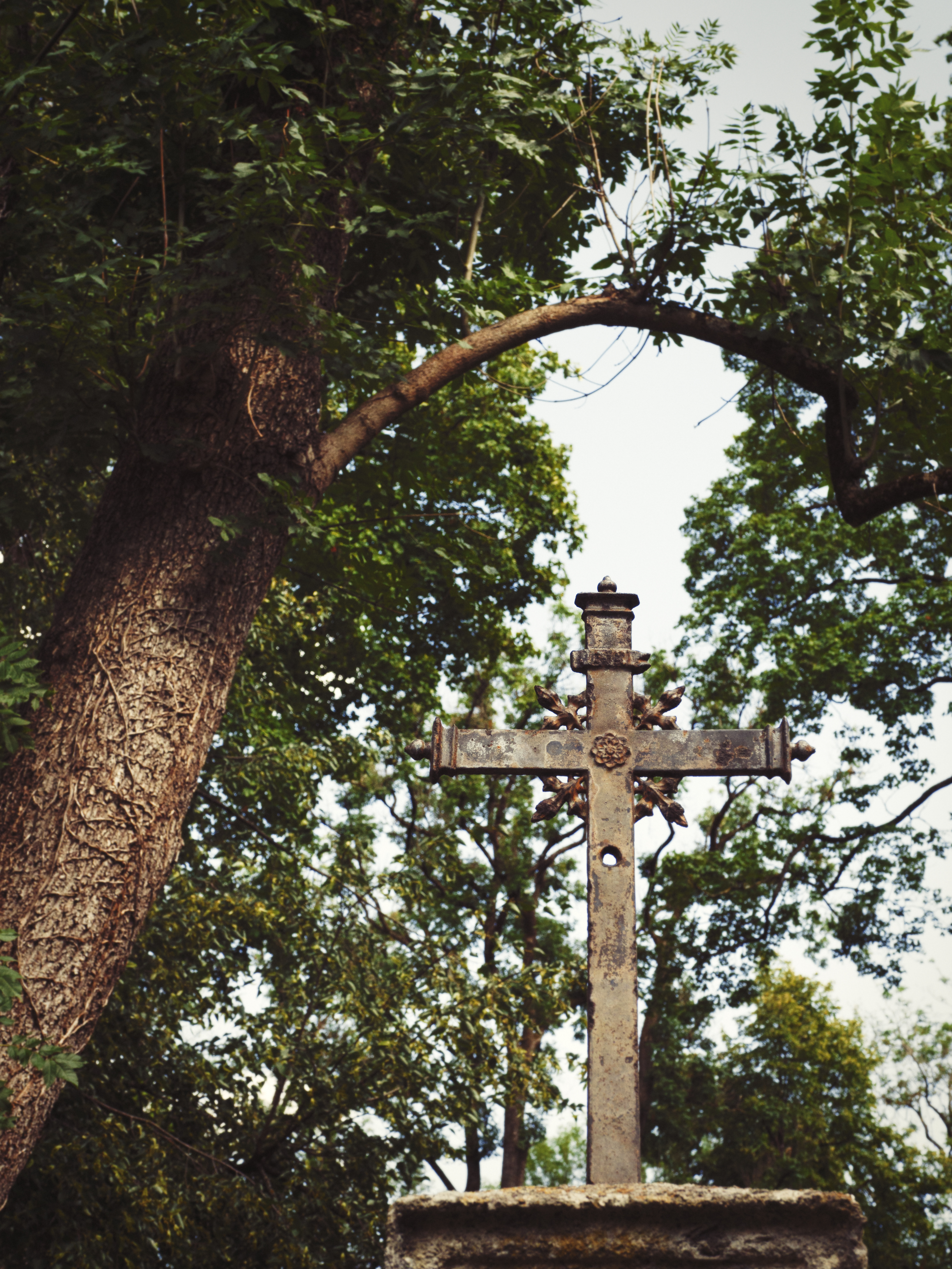 Thalkirchner Friedhof (Friedhofsfotografie München)