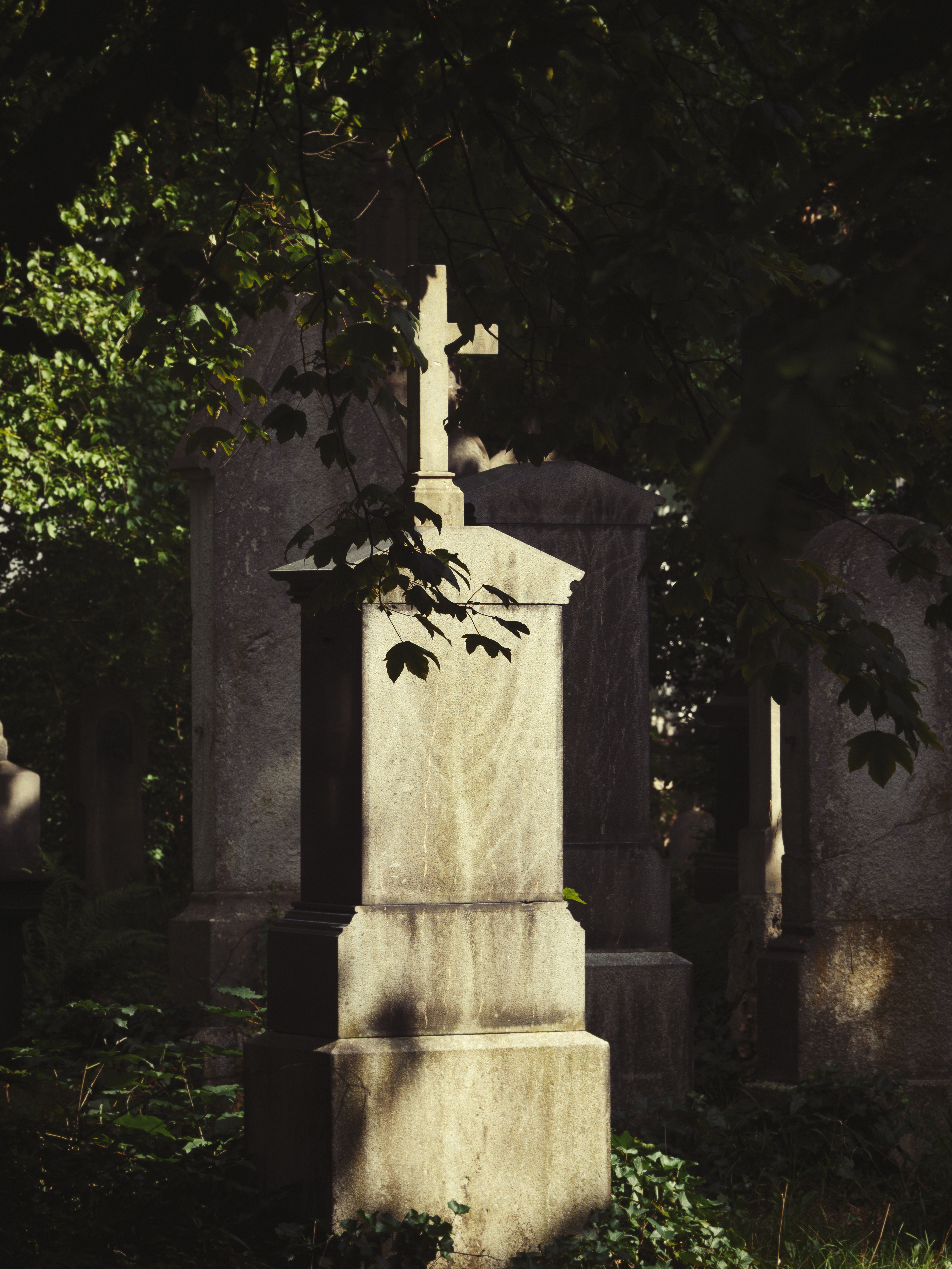 Thalkirchner Friedhof (Friedhofsfotografie München)