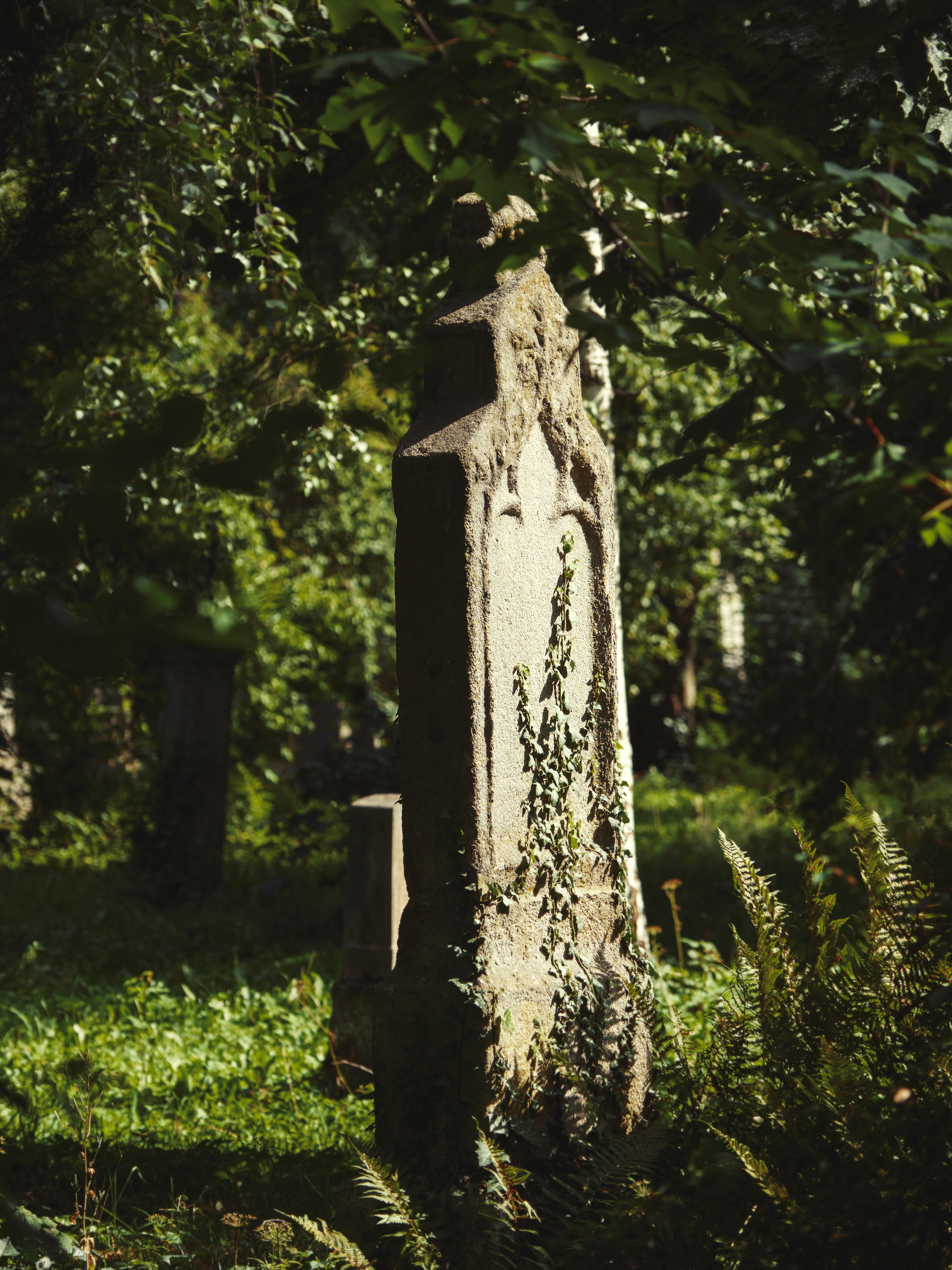 Thalkirchner Friedhof (Friedhofsfotografie München)