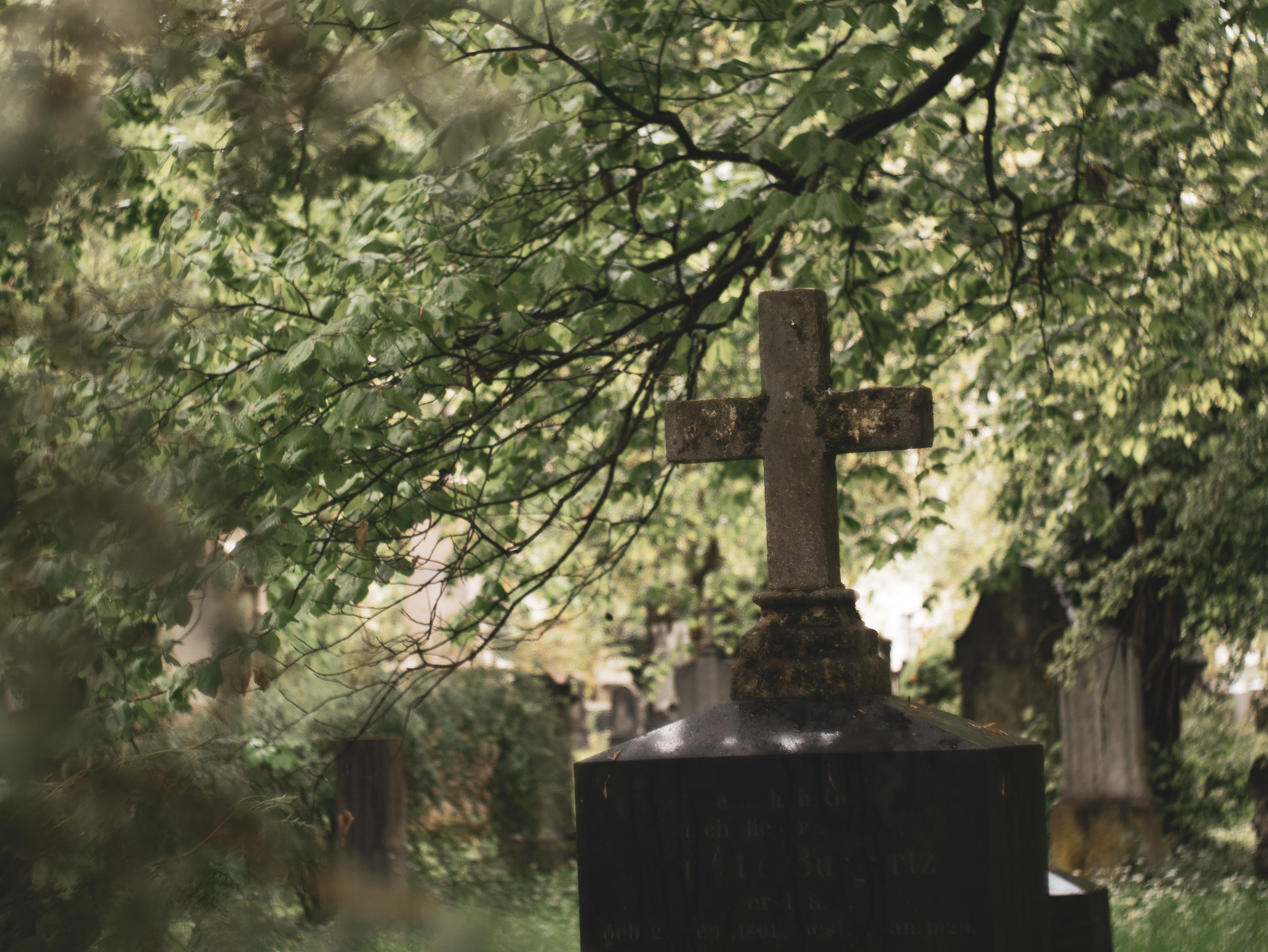 Thalkirchner Friedhof Bild mit dem Domiplan