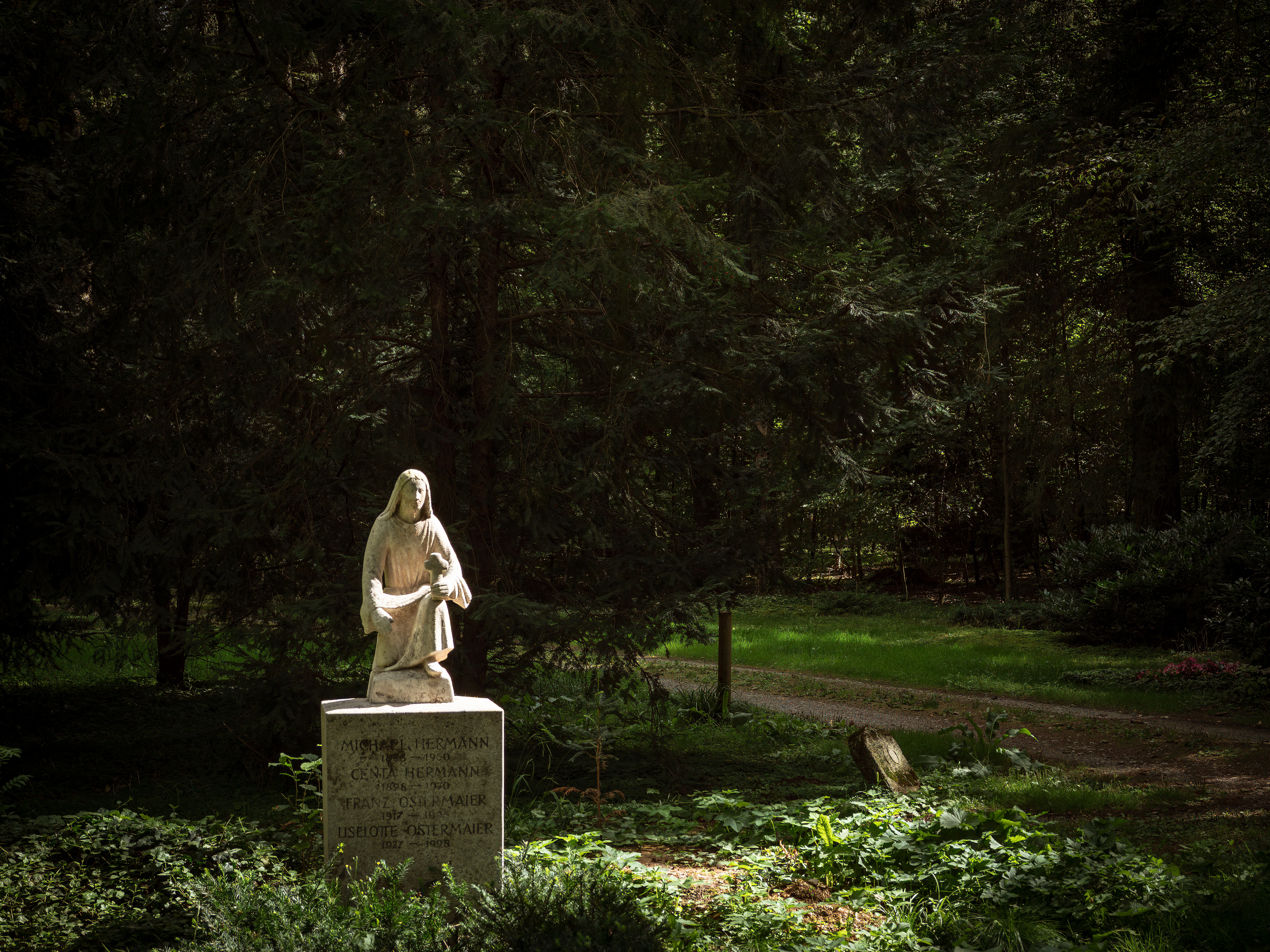 Waldfriedhof München (Friedhofsfotografie)