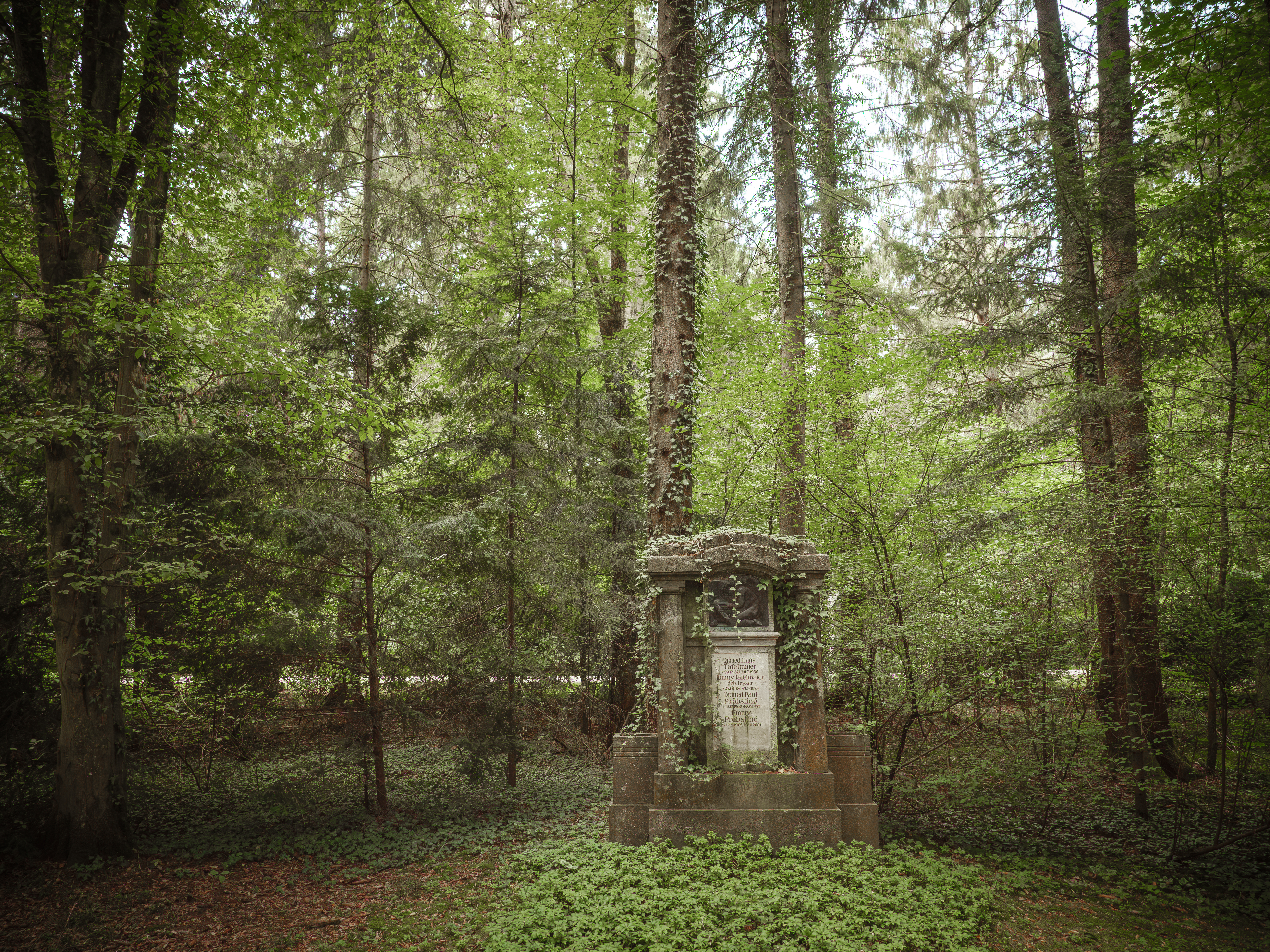 Waldfriedhof München (Friedhofsfotografie)