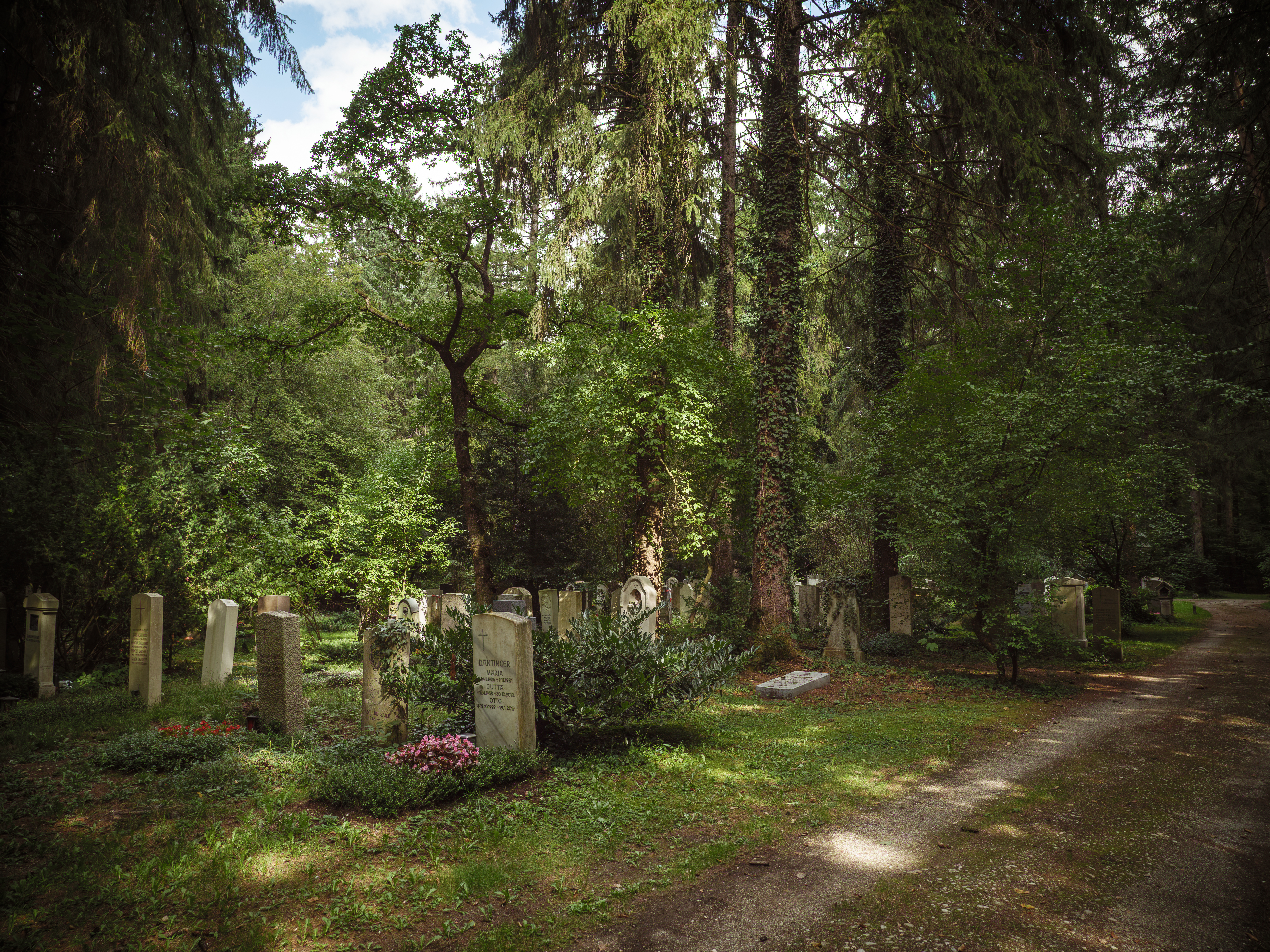 Waldfriedhof München (Friedhofsfotografie)