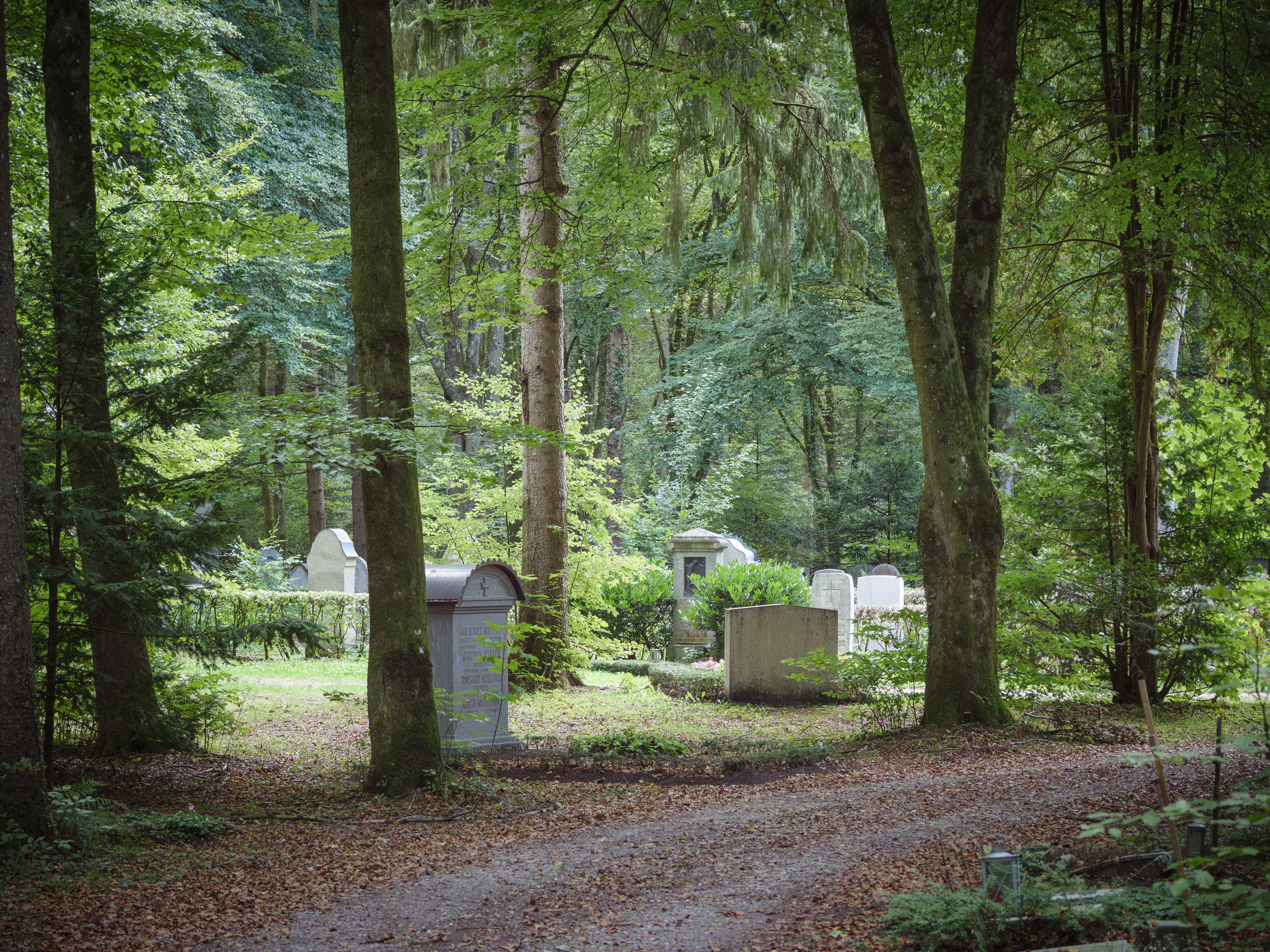 Waldfriedhof München (Friedhofsfotografie)