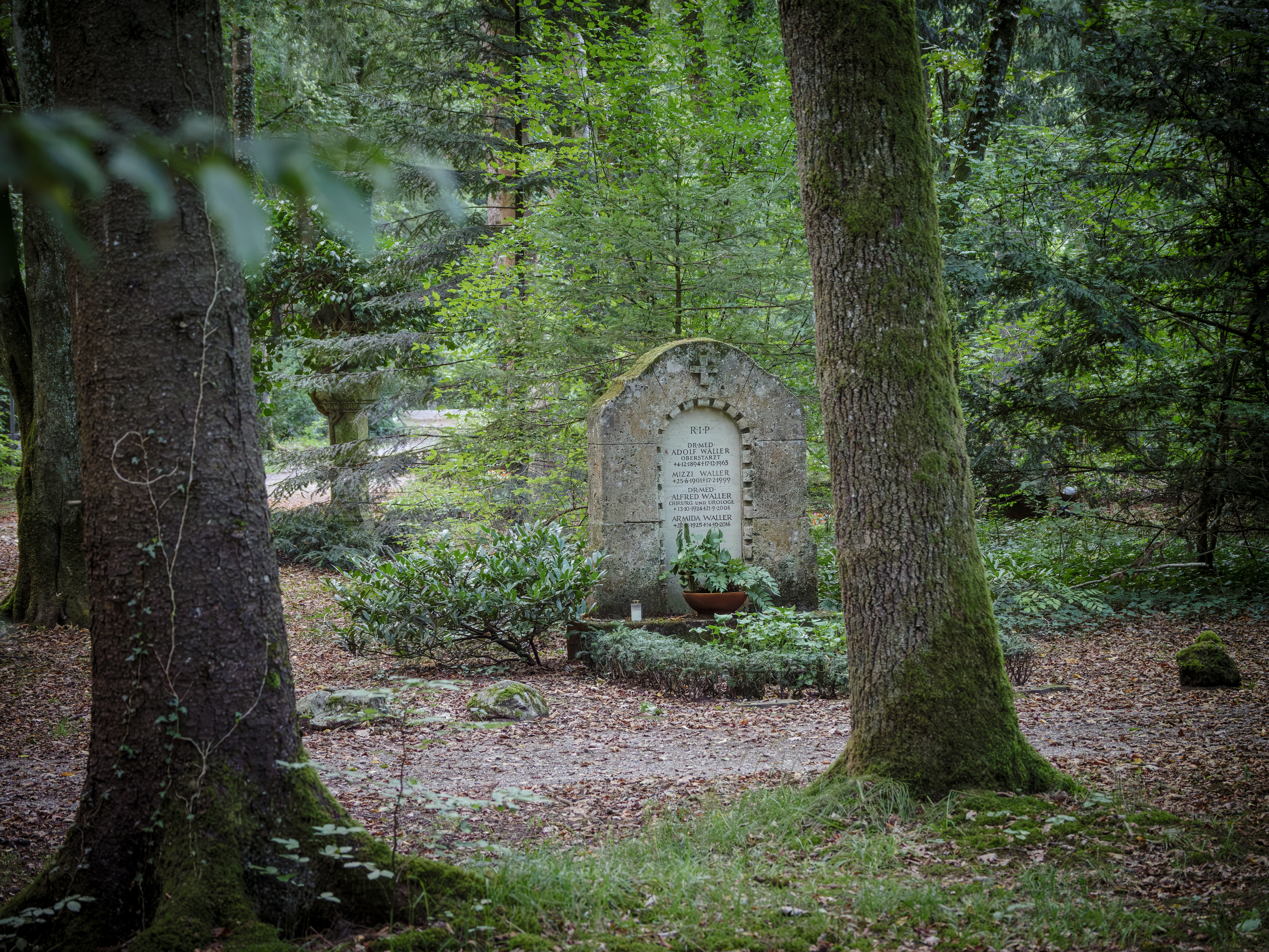 Waldfriedhof München (Friedhofsfotografie)