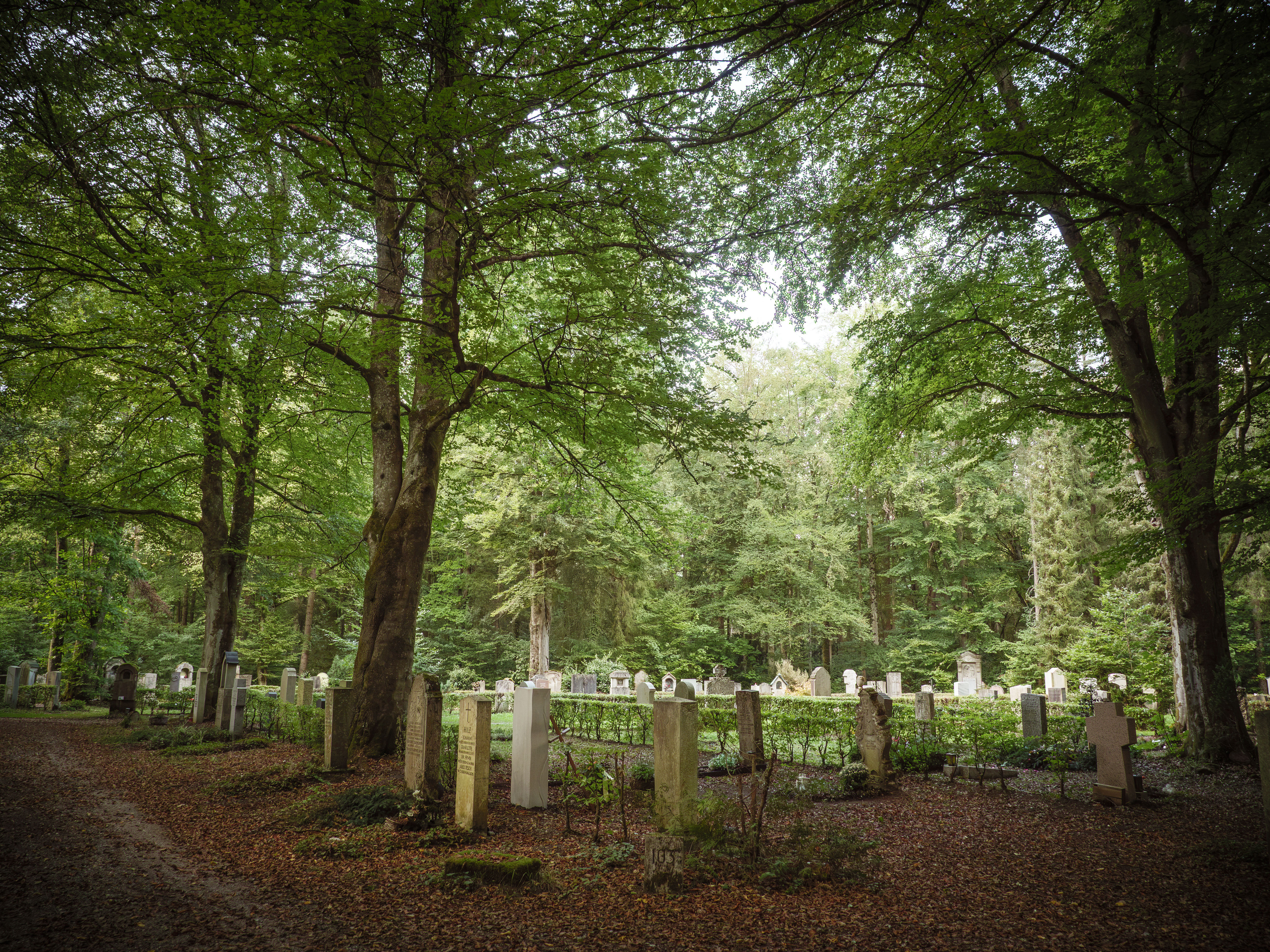 Waldfriedhof München (Friedhofsfotografie)