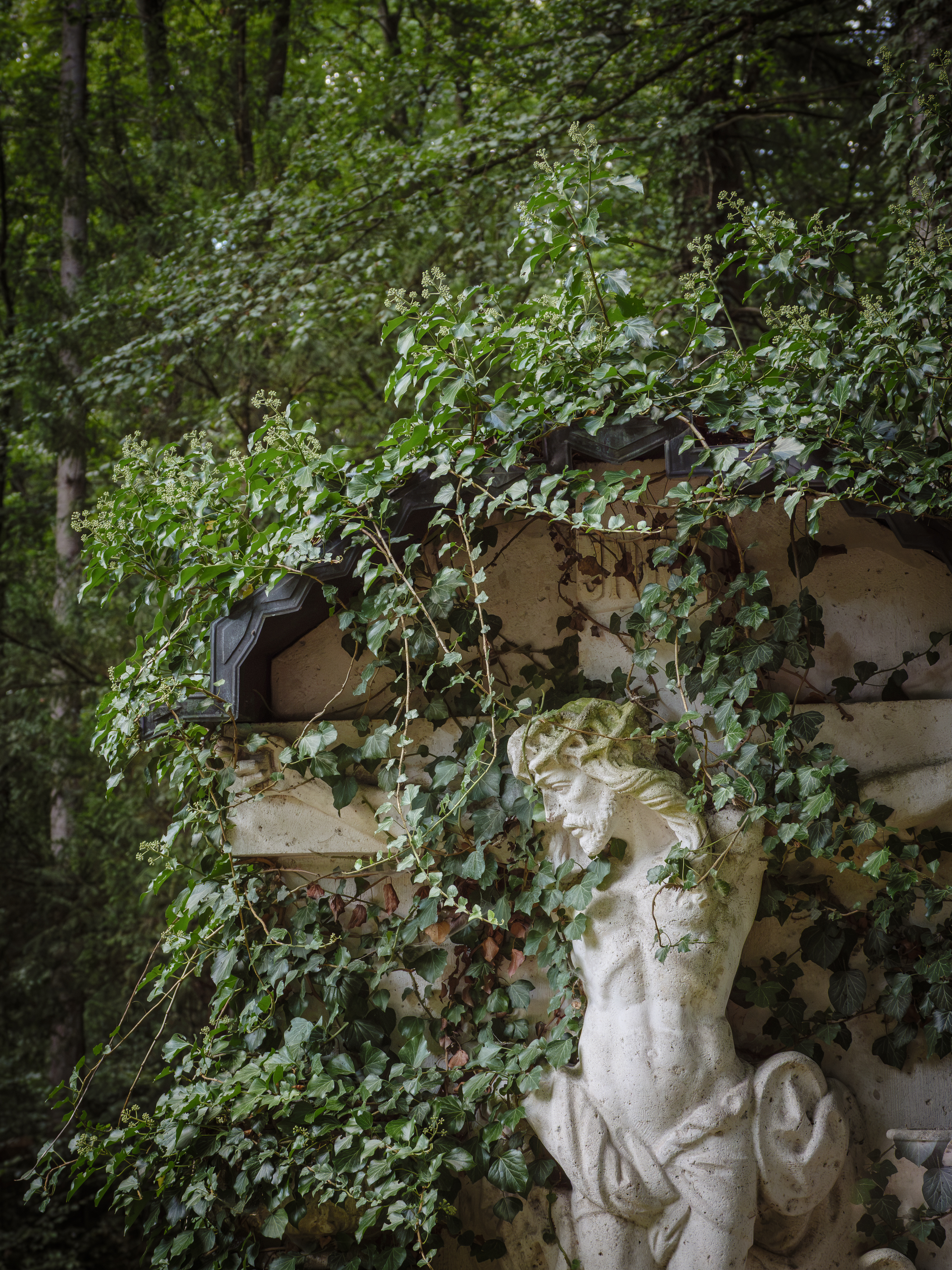 Waldfriedhof München (Friedhofsfotografie)