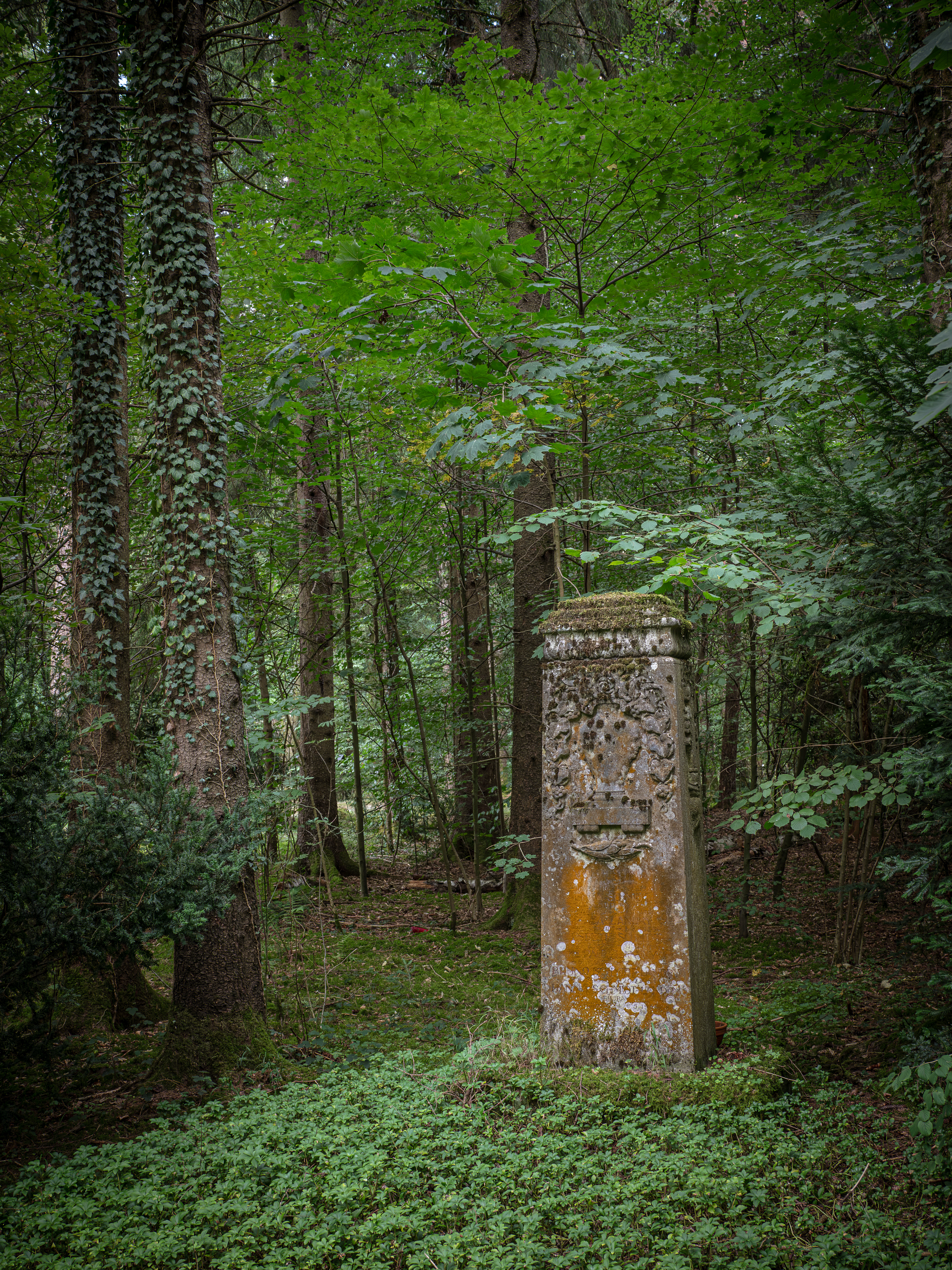 Waldfriedhof München (Friedhofsfotografie)