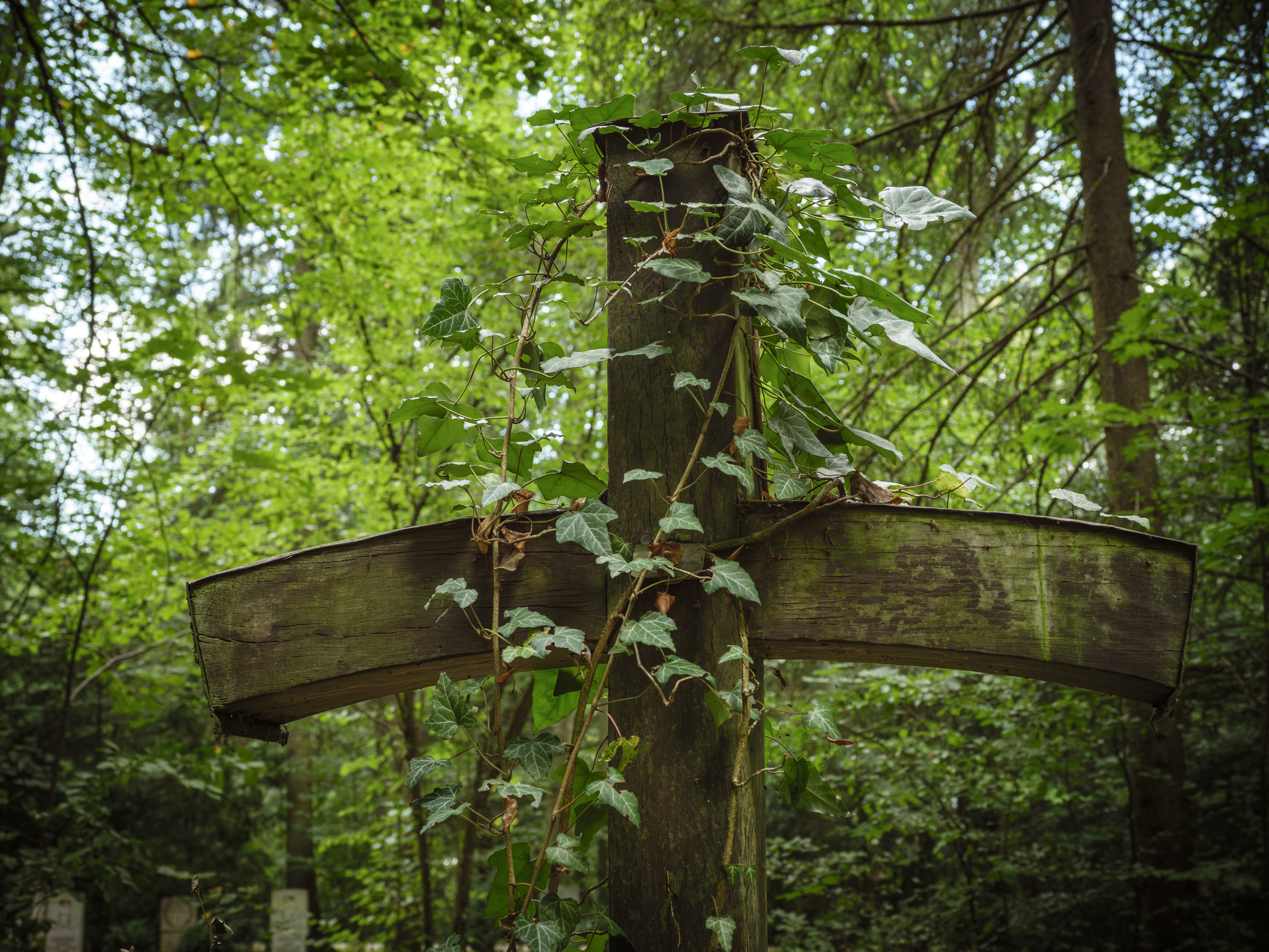 Waldfriedhof München (Friedhofsfotografie)