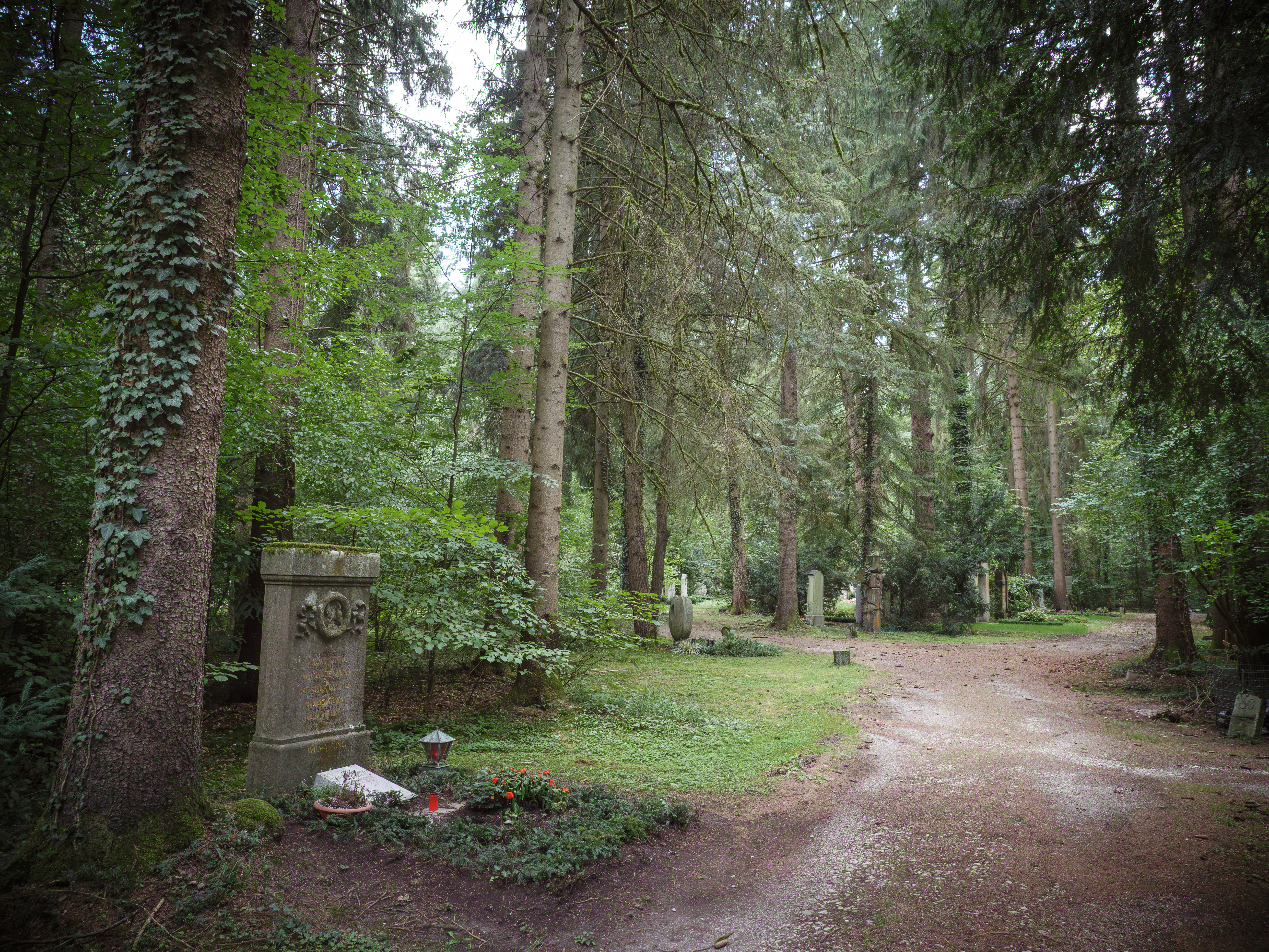 Waldfriedhof München (Friedhofsfotografie)
